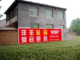 吉安如何让墙体广告展现最大化效果
