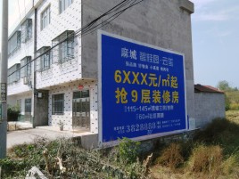 吉安墙体广告质量分析
